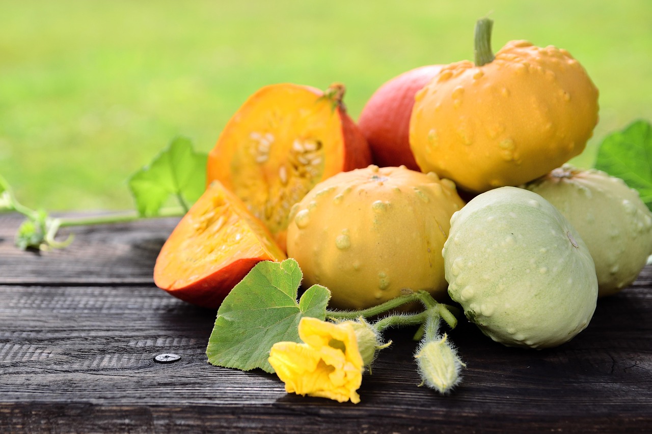 Preserving the Harvest Without a Pressure Canner