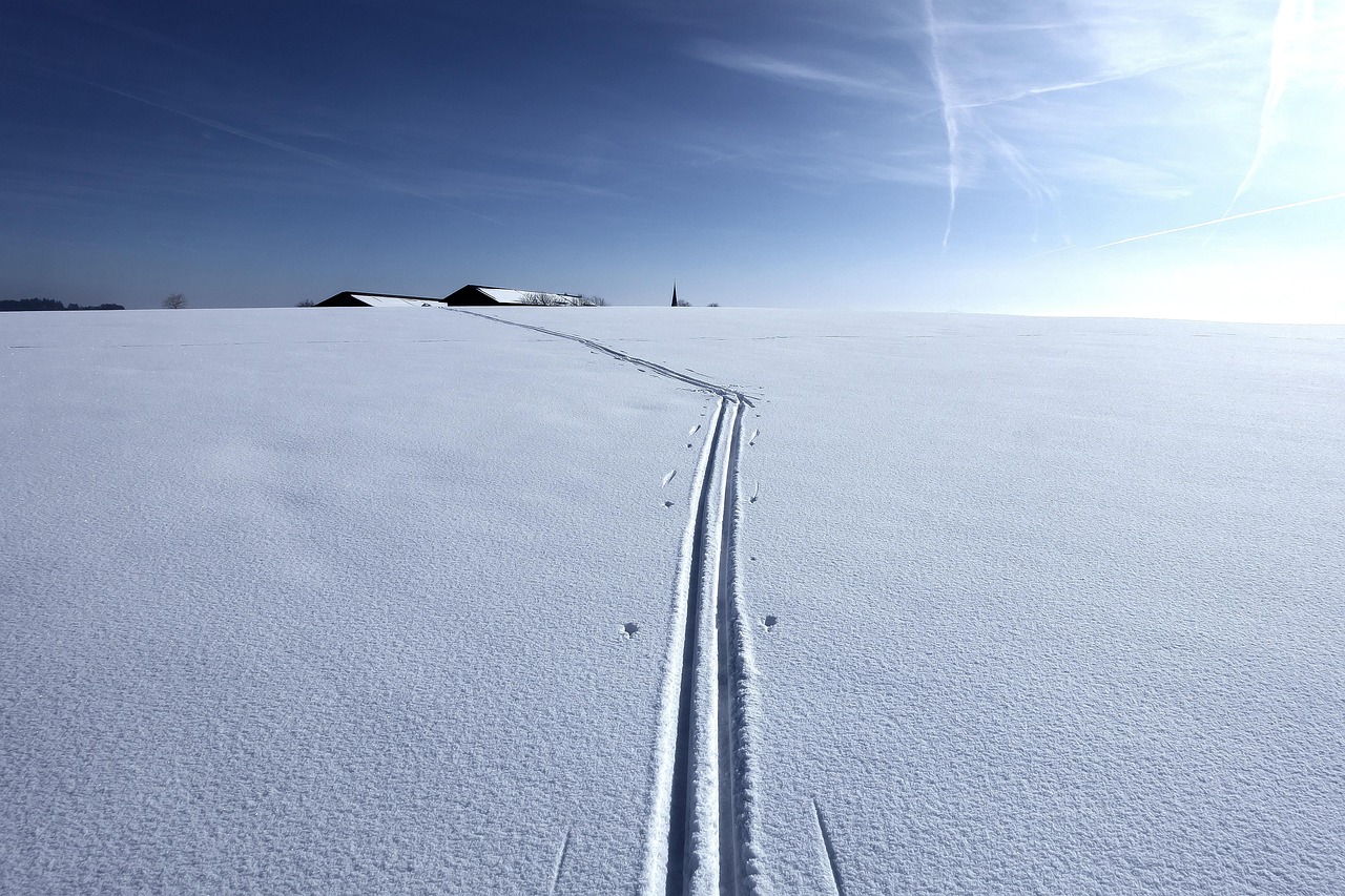 Winter on a Small Homestead: The Slow Season